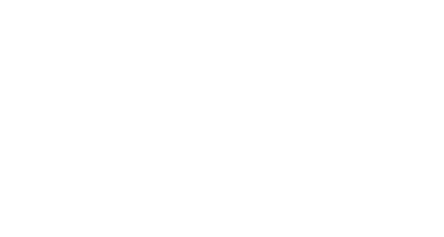 VIZZIO
